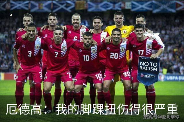 厄德高：我的脚踝扭伤得很严重